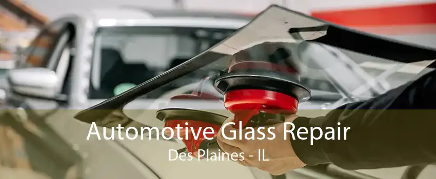 Automotive Glass Repair Des Plaines - IL