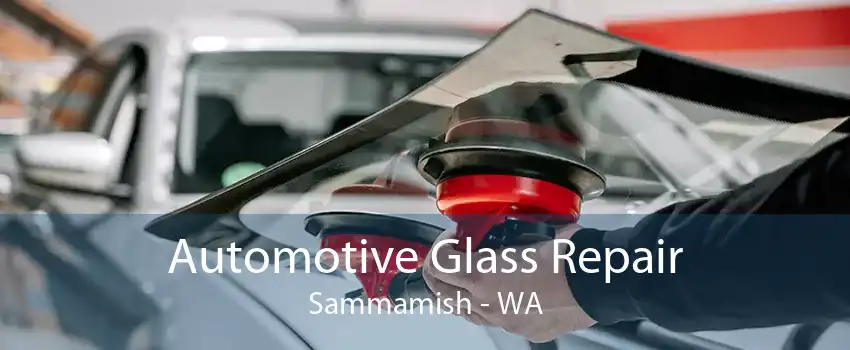 Automotive Glass Repair Sammamish - WA