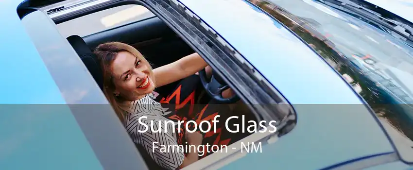  Sunroof Glass Farmington - NM