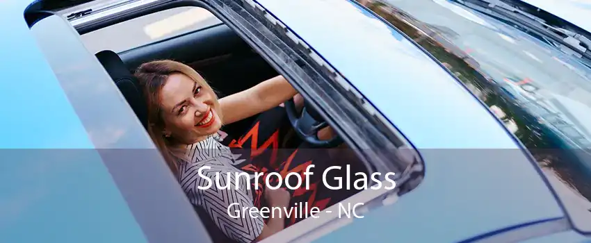 Sunroof Glass Greenville - NC