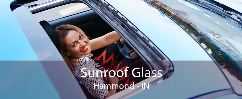 Sunroof Glass Hammond - IN