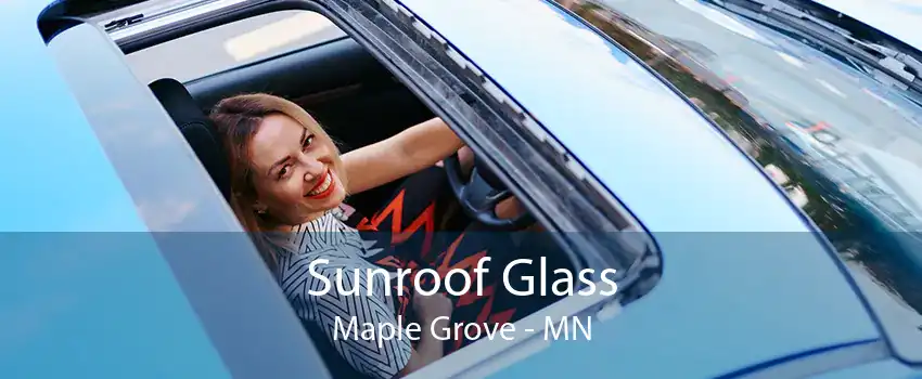  Sunroof Glass Maple Grove - MN