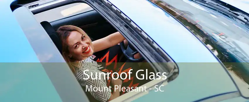 Sunroof Glass Mount Pleasant - SC