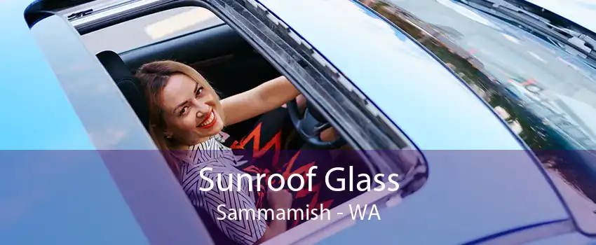 Sunroof Glass Sammamish - WA