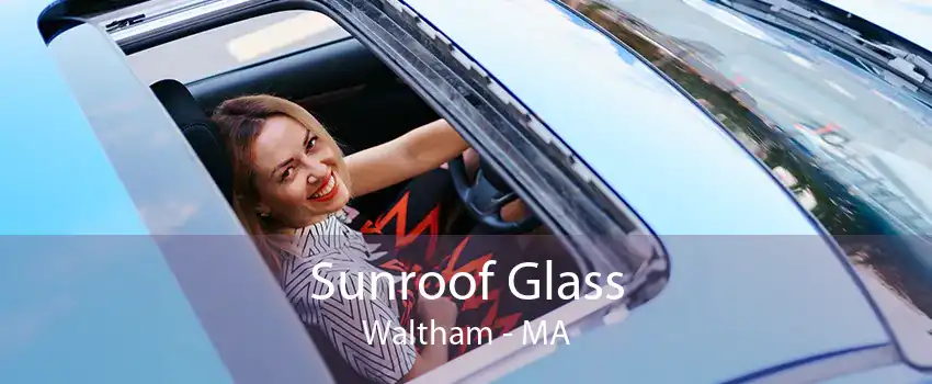 Sunroof Glass Waltham - MA