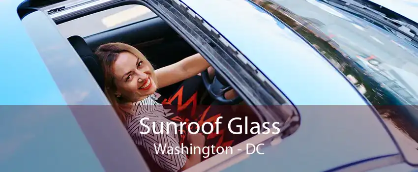 Sunroof Glass Washington - DC