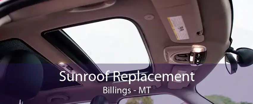 Sunroof Replacement Billings - MT