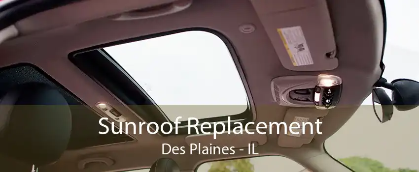 Sunroof Replacement Des Plaines - IL