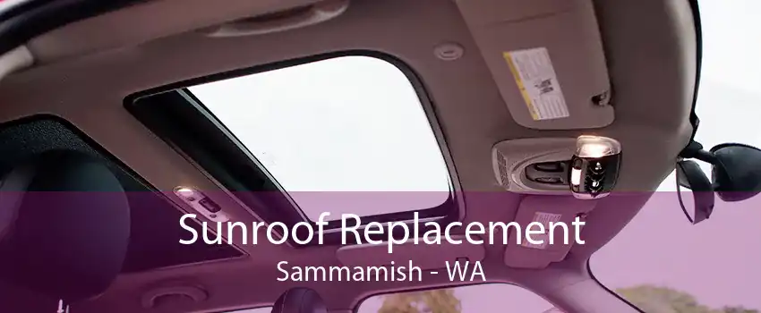  Sunroof Replacement Sammamish - WA