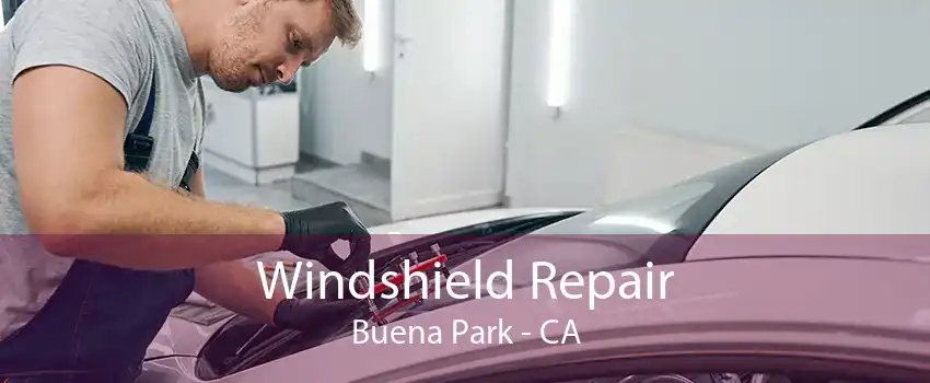 Windshield Repair Buena Park - CA