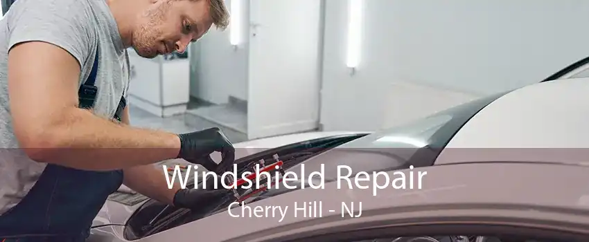 Windshield Repair Cherry Hill - NJ