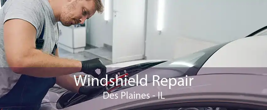  Windshield Repair Des Plaines - IL