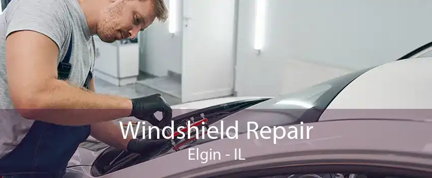  Windshield Repair Elgin - IL