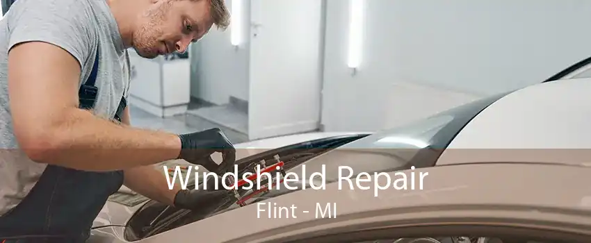 Windshield Repair Flint - MI